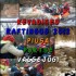 158068_352892034742702_471379387_n